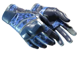 ★ Moto Gloves | Polygon (Field-Tested)