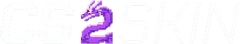 CS2Skin logo