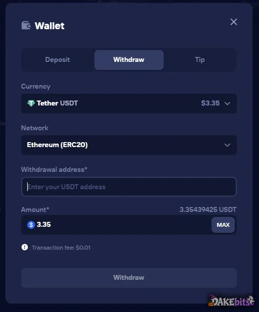 Duel.com withdrawal: Tether on Ethereum with a $0.01 network fee.