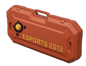 eSports 2013 Case