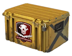 Falchion Case