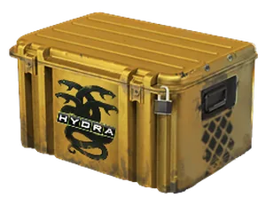 Operation Hydra Case