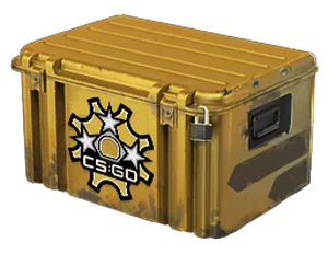 Revolver Case