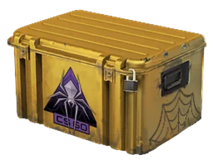 Shattered Web Case