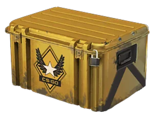 Winter Offensive Weapon Case